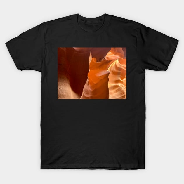 Canyon Natural Art T-Shirt by Ckauzmann